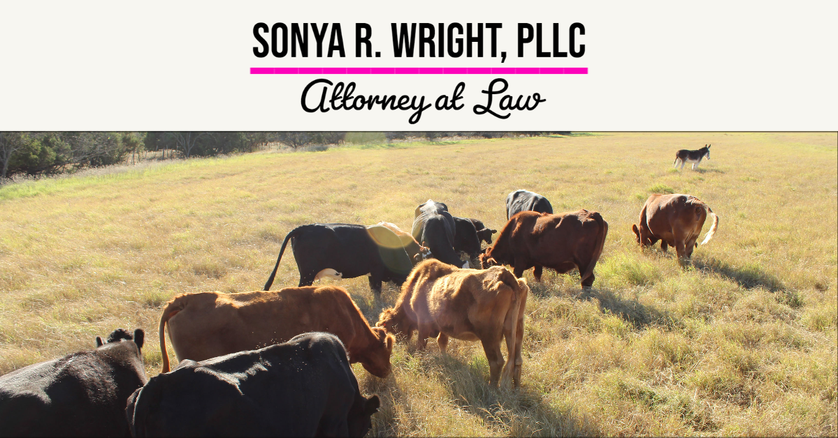 Hill Country Family Law Attorney & Mediator